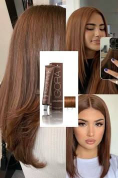 Copper Chocolate Hair, Chocolate Copper Hair Color, Copper Brown Highlights, Chocolate Copper Hair, Copper Brown Hair Color, Rambut Brunette, Honey Brown Hair, Brown Hair Looks, Brown Hair Inspo