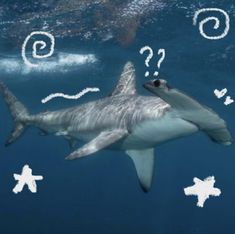 a shark swimming in the ocean with question marks above it