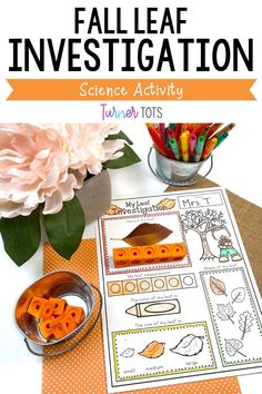 an autumn themed science activity for kids