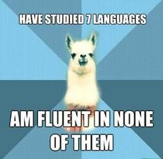 an alpaca with the caption i have studies 7 languages am fluent in none of them