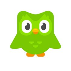 an image of a green bird with big eyes