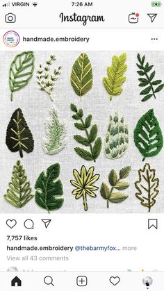 an instagram page with different types of leaves on it