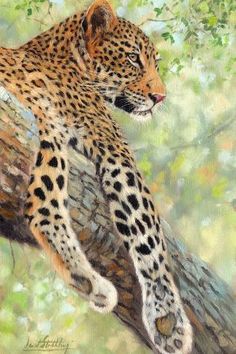 a painting of a leopard resting on a tree branch