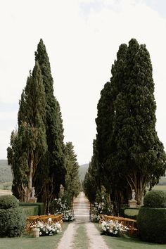 an image of a wedding ceremony setting in the middle of the road with flowers and greenery on either side