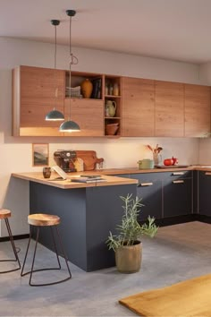 a kitchen with wooden cabinets and stools next to a plant in a pot on the counter