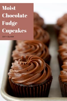 chocolate fudge cupcakes in a pan with the title overlay that reads, most chocolate fudge cupcakes