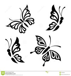 four black and white butterflies on a white background stock photo - image 349784