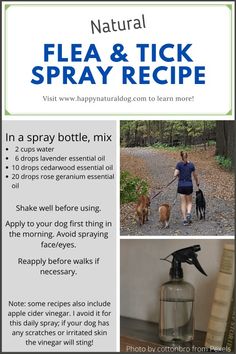 a flyer for a flea and tick spray recipe with pictures of dogs on the side