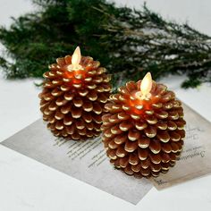 two pine cone candles sitting on top of a piece of paper