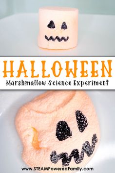 halloween marshmallows science experiment for kids