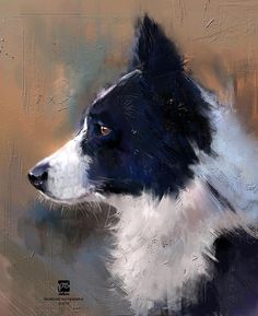 a painting of a black and white dog on a brown, beige, and blue background