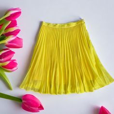 Anine Bing Lucy Skirt Pleated Chifon Yellow Skirt Color Meadowlark (Yellow) Size Small 100% Polyester Skirt Is New With Tags From Store Sample , Missing Care And Size Tag . Yellow Flared Party Skirt, Yellow Midi Skirt For Party, Spring Pleated Flowy Mini Skirt, Yellow Pleated Skirt For Party, Yellow Pleated Party Bottoms, Yellow Flowy Skirt For Party, Yellow Full Flowy Skirt, Yellow Flowy Full Skirt, Casual Yellow Mini Skirt For Party