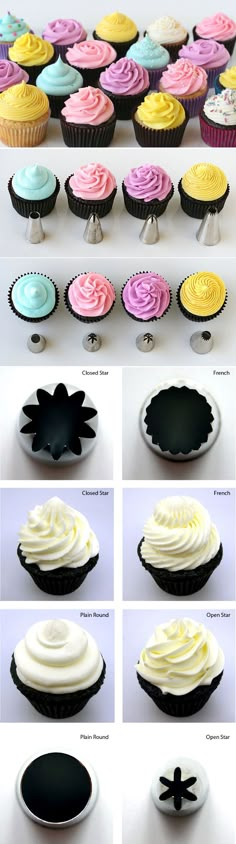 different types of cupcakes with frosting on top and bottom, all in different colors