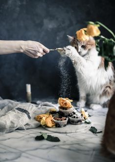 a cat standing next to a table with cupcakes and flowers on top of it