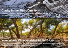 three different views of trees and mountains in the desert, with text below them that reads your whole whole world in all its glory