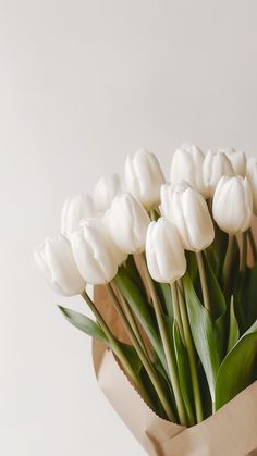 a bouquet of white tulips in a paper bag