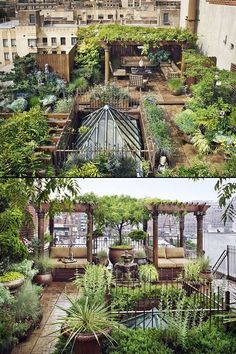 an outdoor garden with lots of trees and plants on the roof, in front of buildings