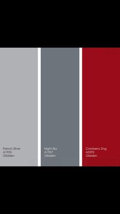 red and gray color scheme for interior paint colors that match with the rest of the house