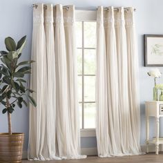 a living room with white curtains and a potted plant