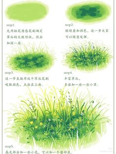 an image of grass and flowers in different stages of growth, with chinese writing on the bottom