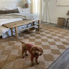 a brown dog standing on top of a rug in a bedroom next to a bed