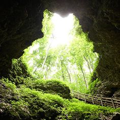 the light at the end of the tunnel shines brightly into the dark forest below