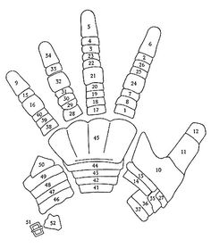 an image of a hand that has numbers on it and two hands with fingers extended out