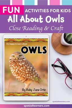 an owl reading and craft activity with the title fun activities for kids all about owls close reading