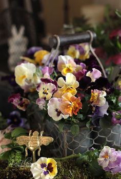 pansies and other flowers in a wire basket