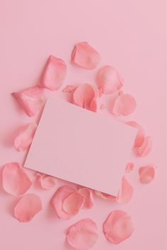 pink rose petals scattered around an empty card on a pink background with space for text