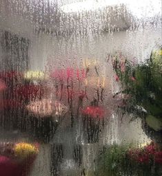 flowers are seen through the rain on a window