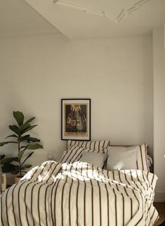 a bed sitting in a bedroom next to a plant