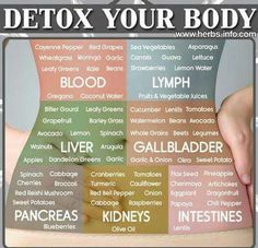 Shrink Tumors Naturally, Natural Antibiotics Bacteria, Caster Oil, Healthy Healing, Healthy Pantry, Resep Smoothie, Period Hacks, Alkaline Diet, Healthy Detox