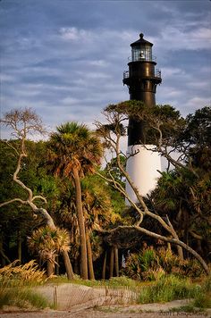 a black and white lighthouse surrounded by trees