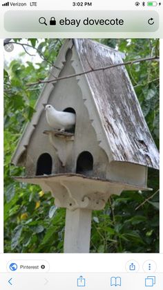 a white bird sitting on top of a bird house