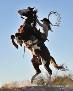 a man riding on the back of a brown and white horse while holding a lasso