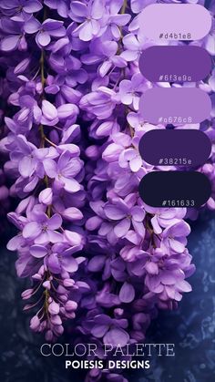 the color palette is purple and it looks like lilas are blooming in this photo