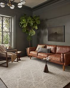 a living room filled with furniture and a potted plant