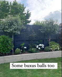 some bushes balls too in front of a fence with trees and flowers on it,