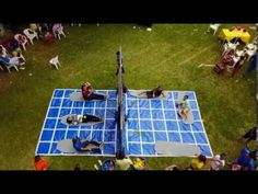 people laying on top of a blue tarp in the grass