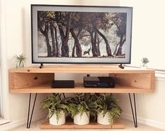 a tv is sitting on top of a shelf next to two potted plants and a remote control