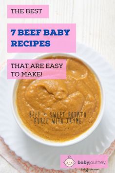 the best 7 beef baby recipes that are easy to make and perfect for your little ones