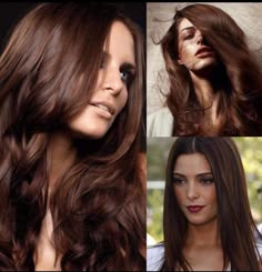 Chocolate Auburn Hair, Cherry Brown Hair, Pelo Chocolate, Rich Brown Hair, Dark Highlights, Hair Color Chocolate