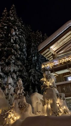 snow covered trees in front of a building with lights on it's sides at night