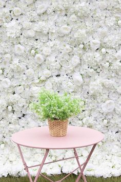 a pink table with a flower pot on it in front of a wall of white flowers