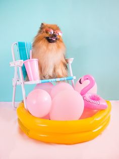 a dog sitting on top of an inflatable chair next to balloons and flamingos