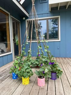 some plants that are sitting on a wooden table outside with blue walls and windows in the background