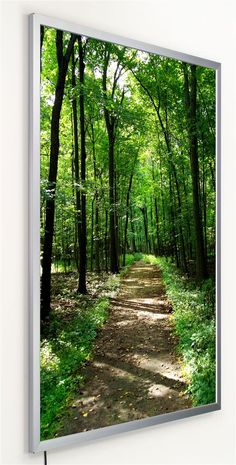 a photo hanging on the wall of a forest with trees and dirt path leading to it