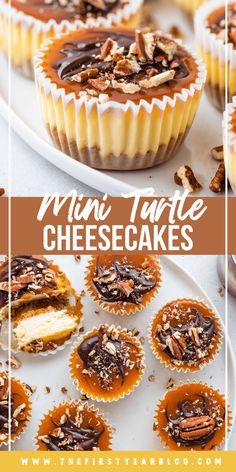 mini tarte cheesecakes with chocolate and pecans on top, sitting on a white plate