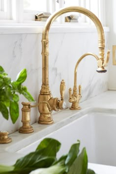 a gold faucet in a white kitchen with marble counter tops and green plants